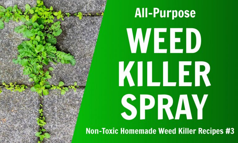 Homemade All Purpose Weed Killer Natures Lawn And Garden 