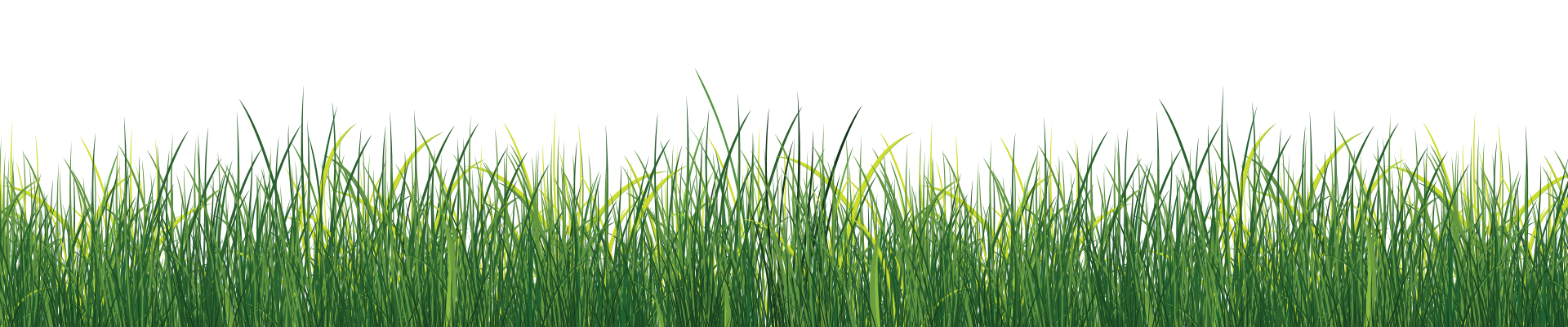 grass | Natures Lawn and Garden