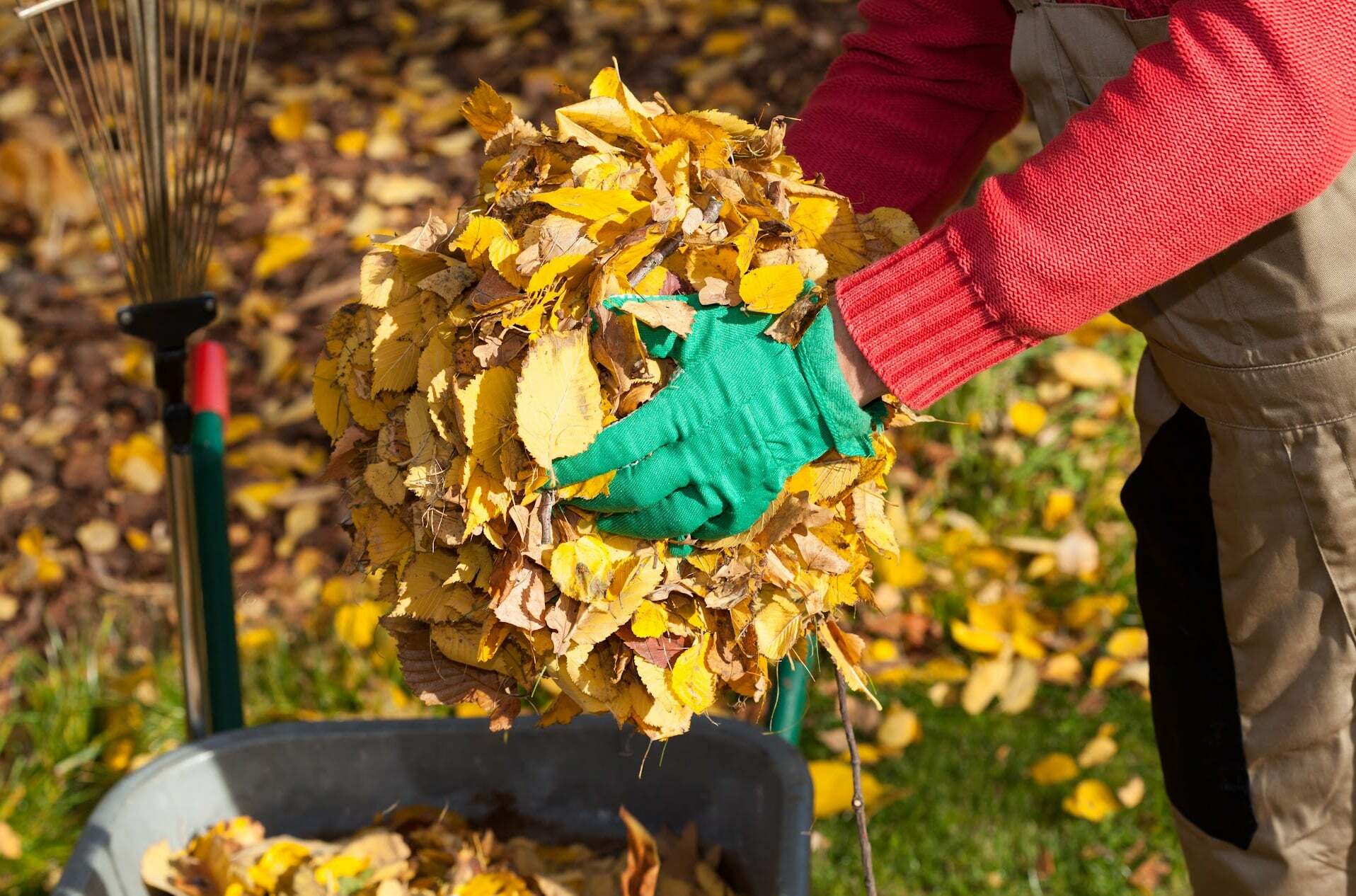 Уборка листвы. Осенние работы. Уборка листьев. Сбор листьев. Уборка листвы осенью.